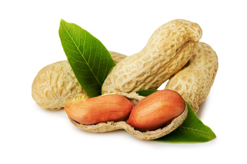 Vitamin B6